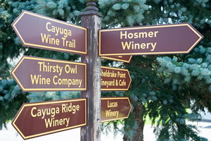 cayuga wine trail