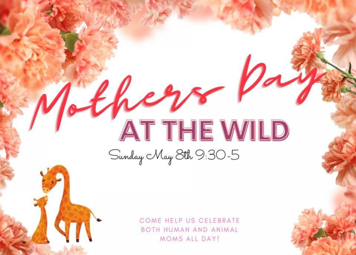 Celebrate Mother Day at the Wild