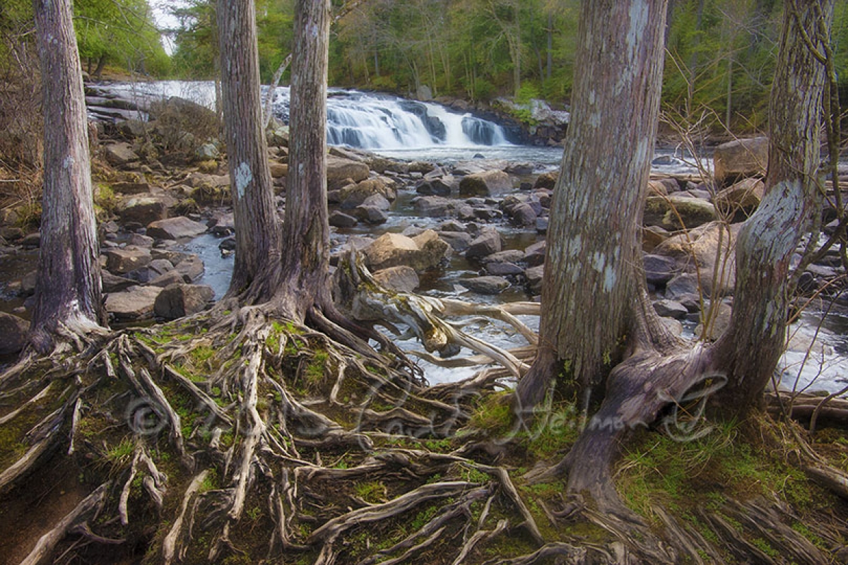 Spring Lakes and Waterfalls Photography Tour