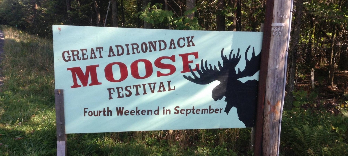 Great Adirondack Moose Festival