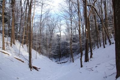 Winter Solstice Hike (On Solstice)