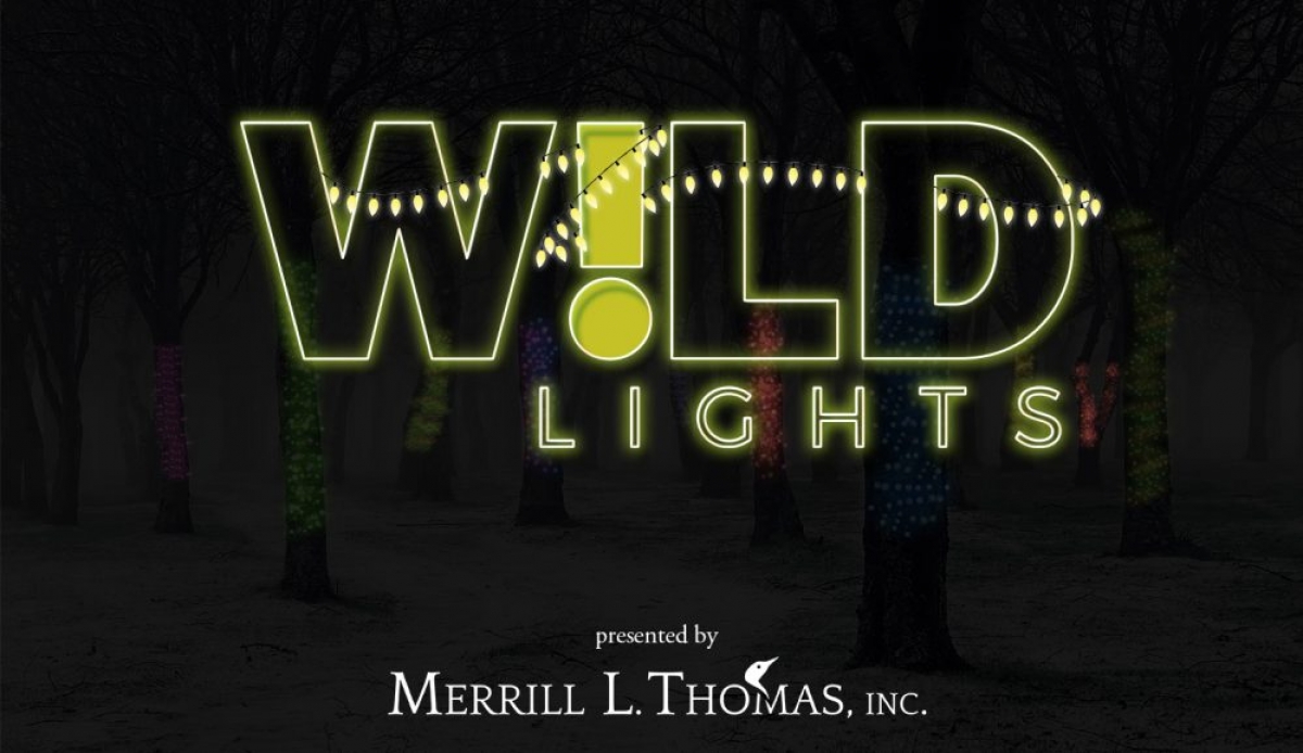 Wild Lights at the Wild Center