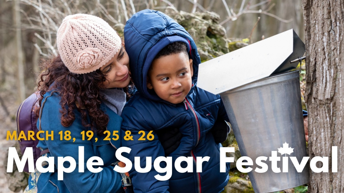 Maple Sugar Festival 