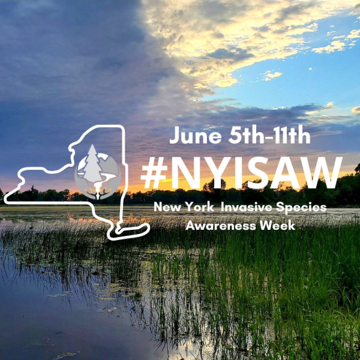 New York observes Invasive Species Awareness Week (NYISAW)