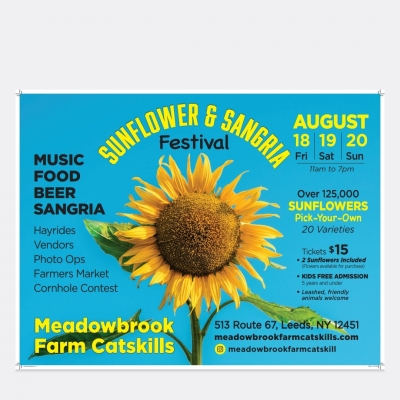 Sunflower and Sangria Festival