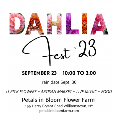 Dahlia Fest '23
