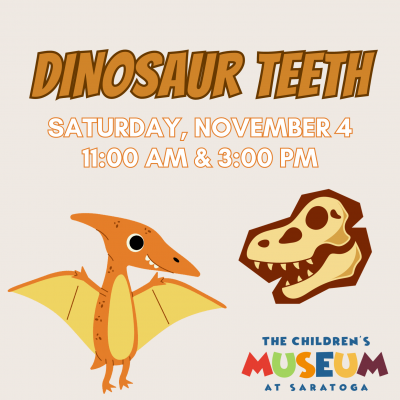 Dinosaur Teeth! at the Children's Museum