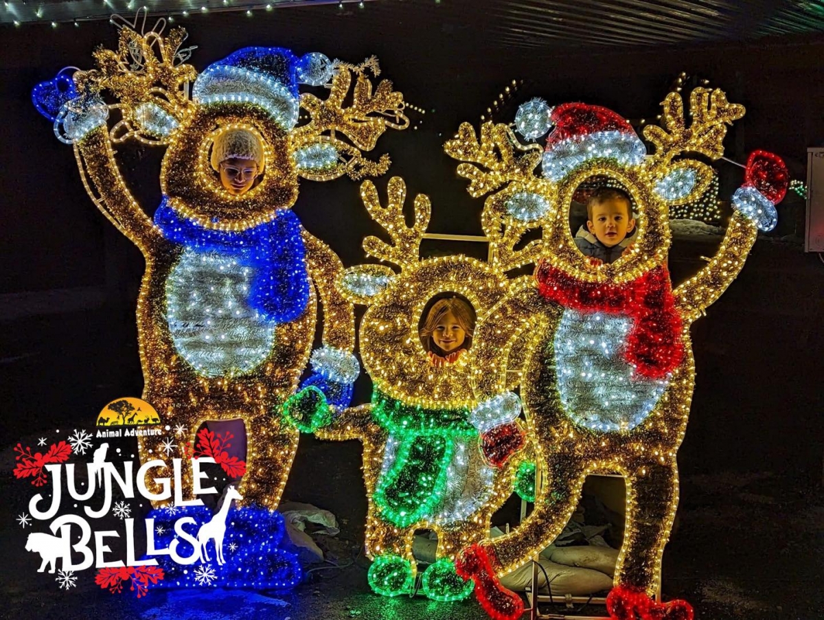 Jungle Bells: Holiday Lights